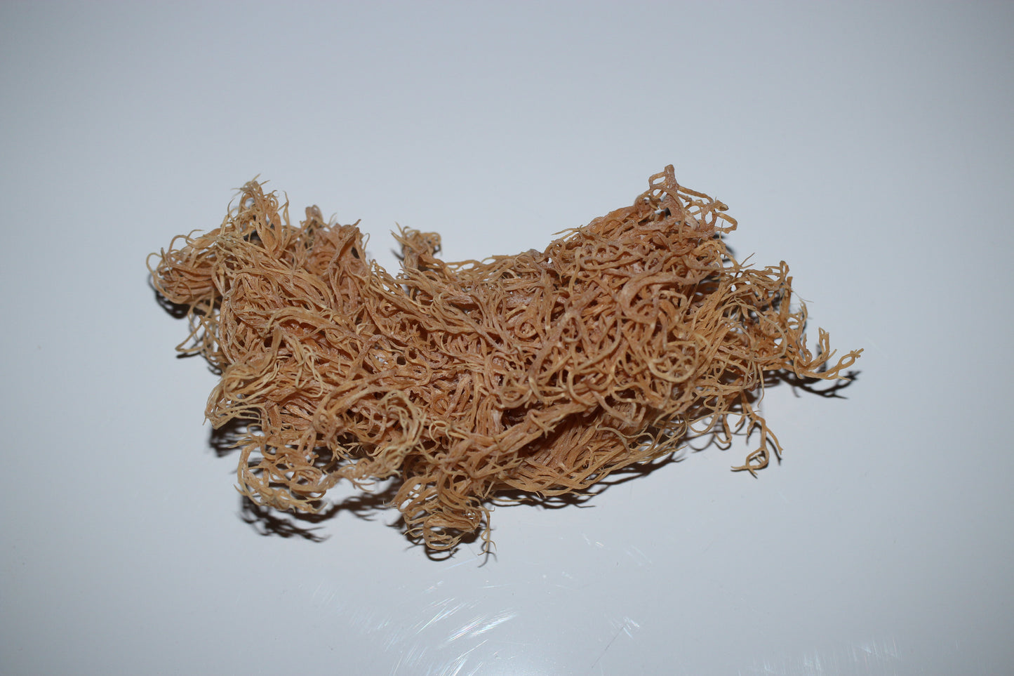 Raw Gold Wildcraft Seamoss (St. Lucia)