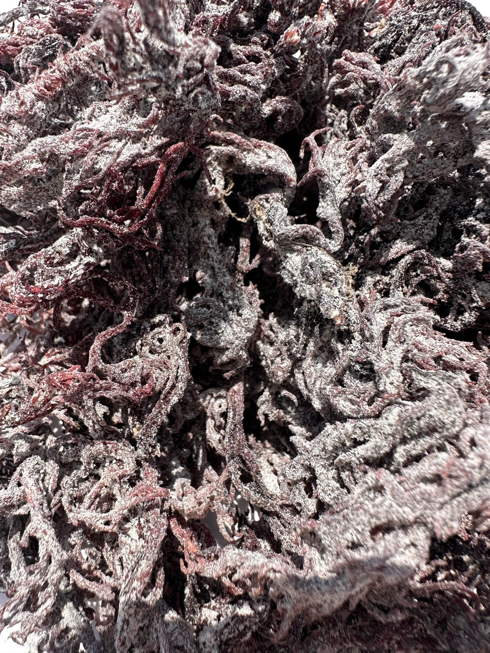 Raw Dark Purple Wildcraft Seamoss (St. Lucia) Wholesale